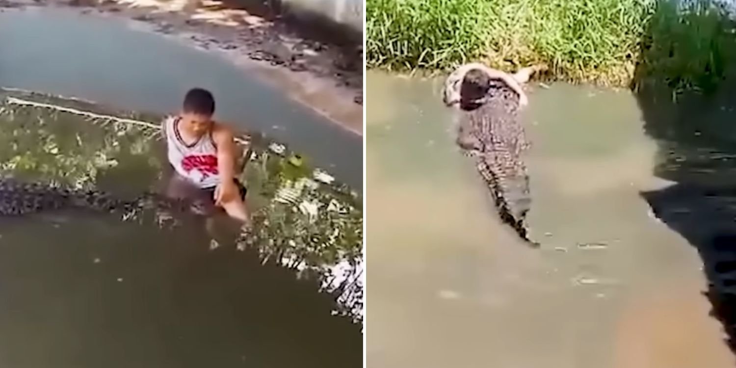 Tourist in Philippines attacked by crocodile after he jumped into enclosure to take selfies with it