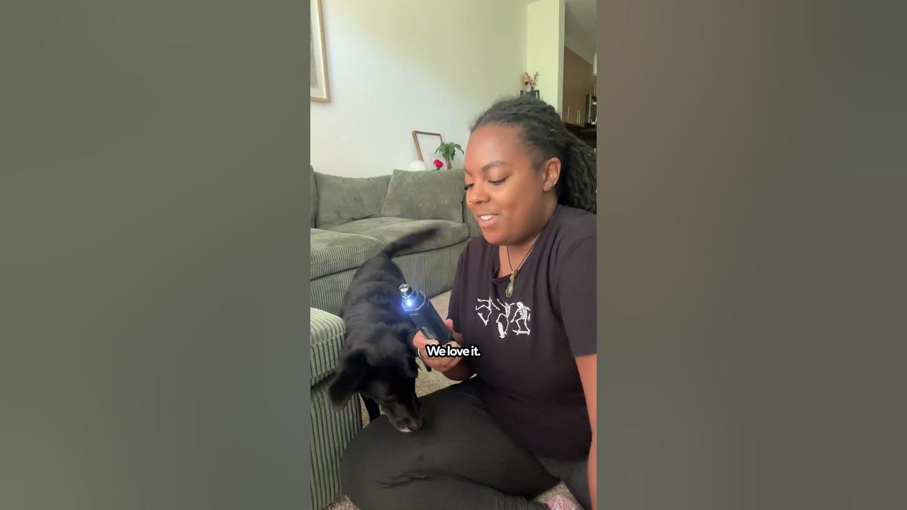 Trying A Nail Grinder On My Senior Dog | The Pack