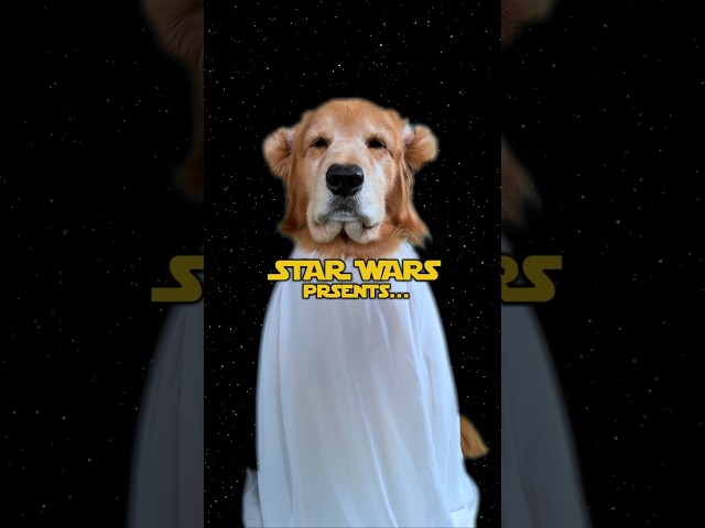 May the 4th be with you