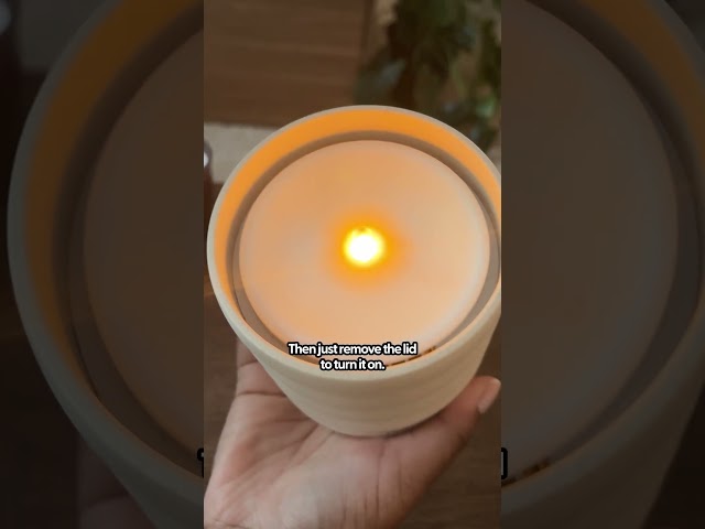 Cruelty-Free Candle Alternatives | The Pack