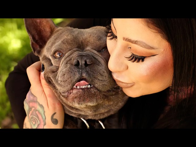 Incredible Reunion - Stolen Dog Returns 2 Year Later