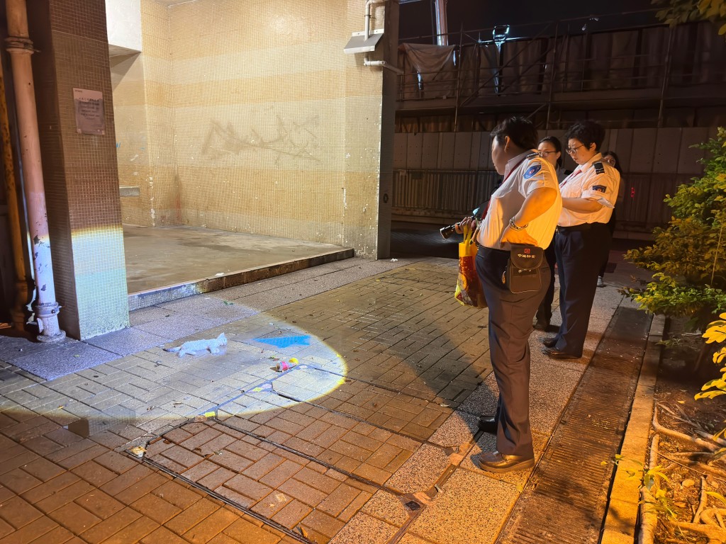 东涌白猫堕楼 全身湿透当场死亡 警设法联络猫主