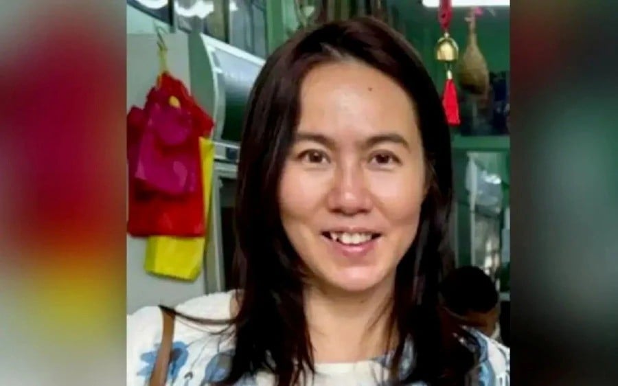 Lawyer questions self-abduction theory, cites Pamela Ling's ill child