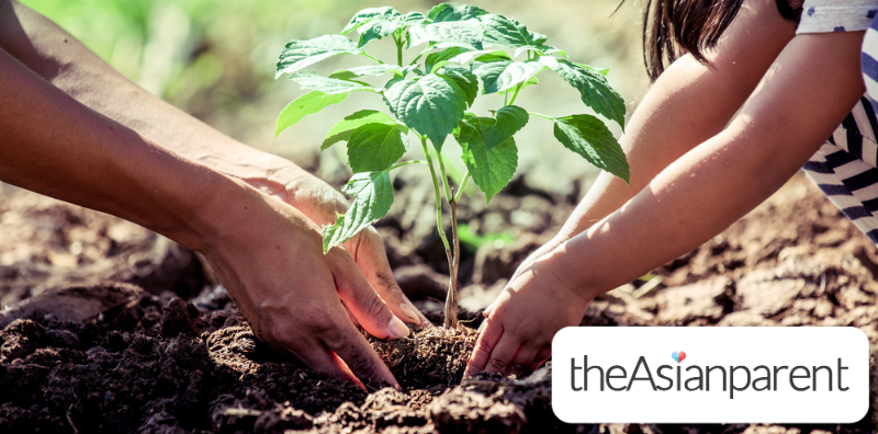 Eco-Friendly Activities for the Family This Earth Month
