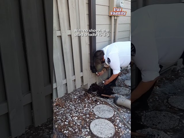 Security Guard Rescues Squirrel Stuck In Pipe