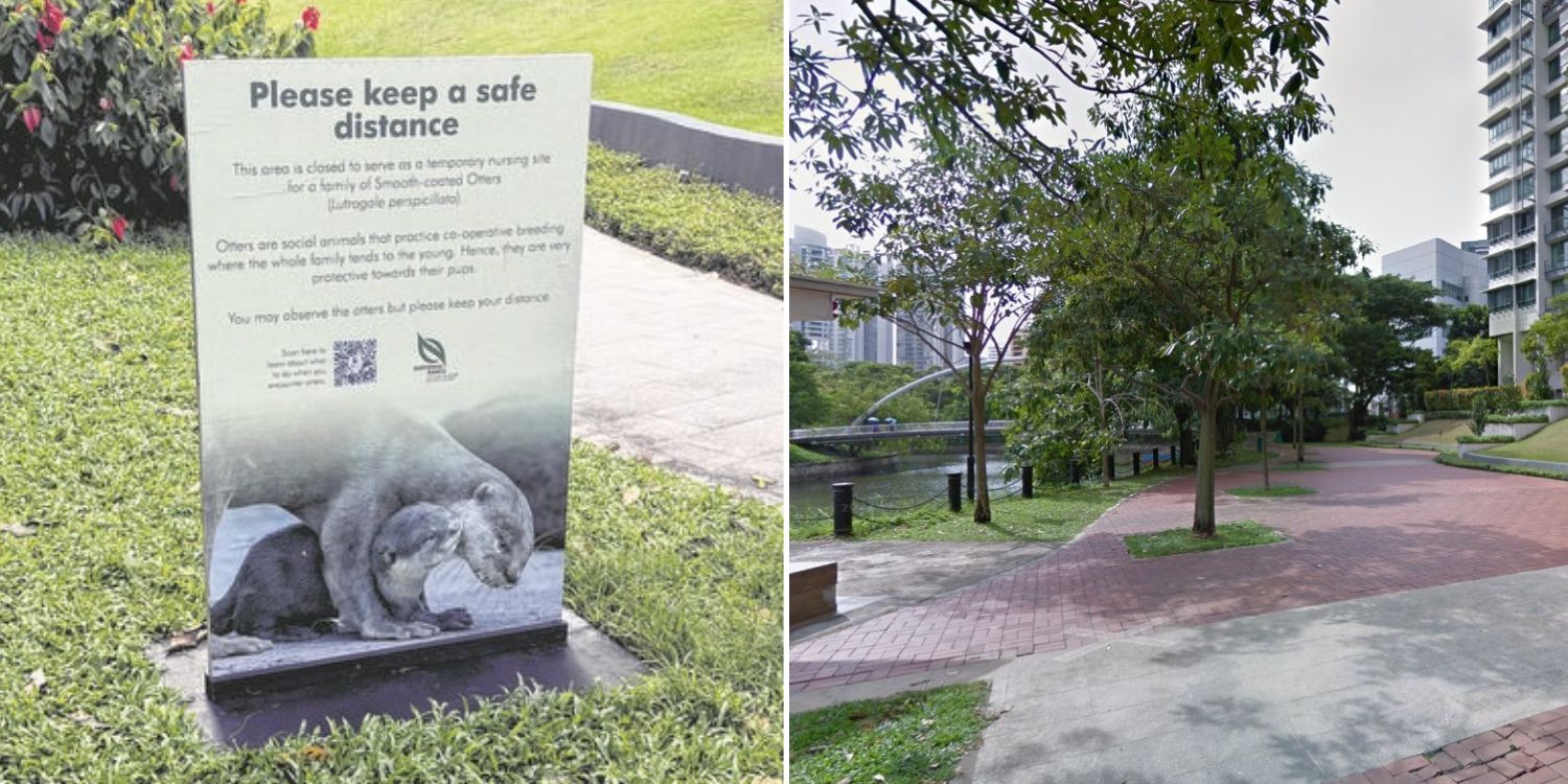 Woman gets bitten by otter near robertson quay, public advised to keep a safe distance