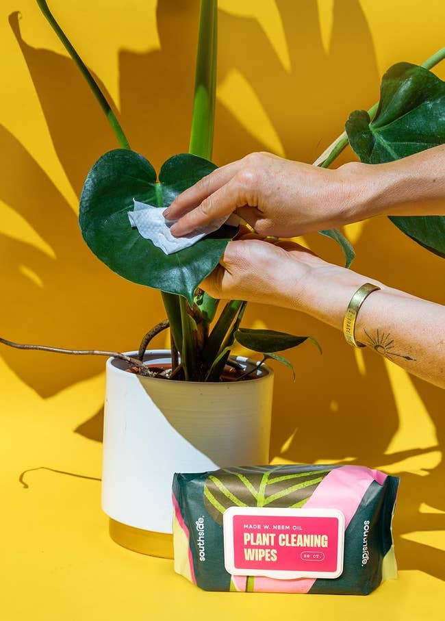 32 Things For People Who Like A Clean Home But Don’t Want To Clean It