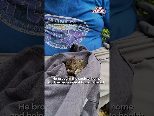 Man Uses His Leg To Save Squirrel From Water