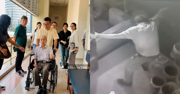 Senior Citizen Injured In Scuffle Was Obstructing MBPJ Dog-Catching Op, Court Hears