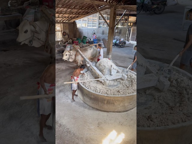 Traditional Noodle Making in Indonesia