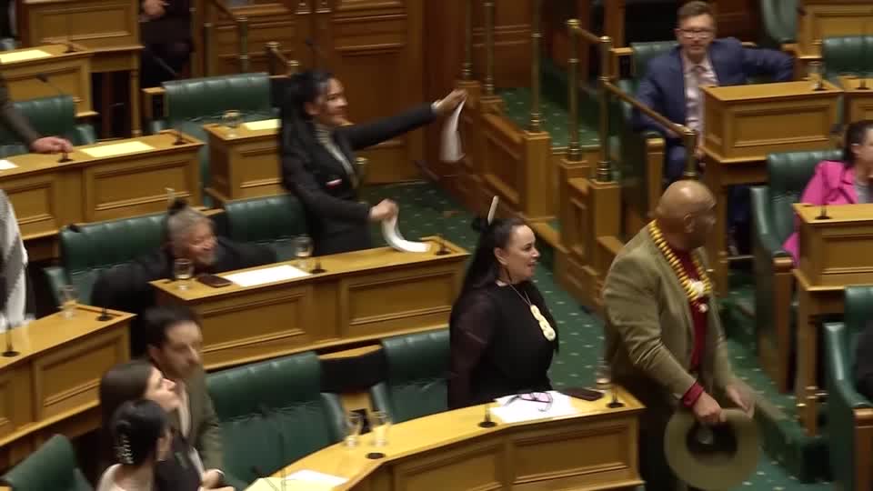 New Zealand committee recommends suspension of indigenous MPs