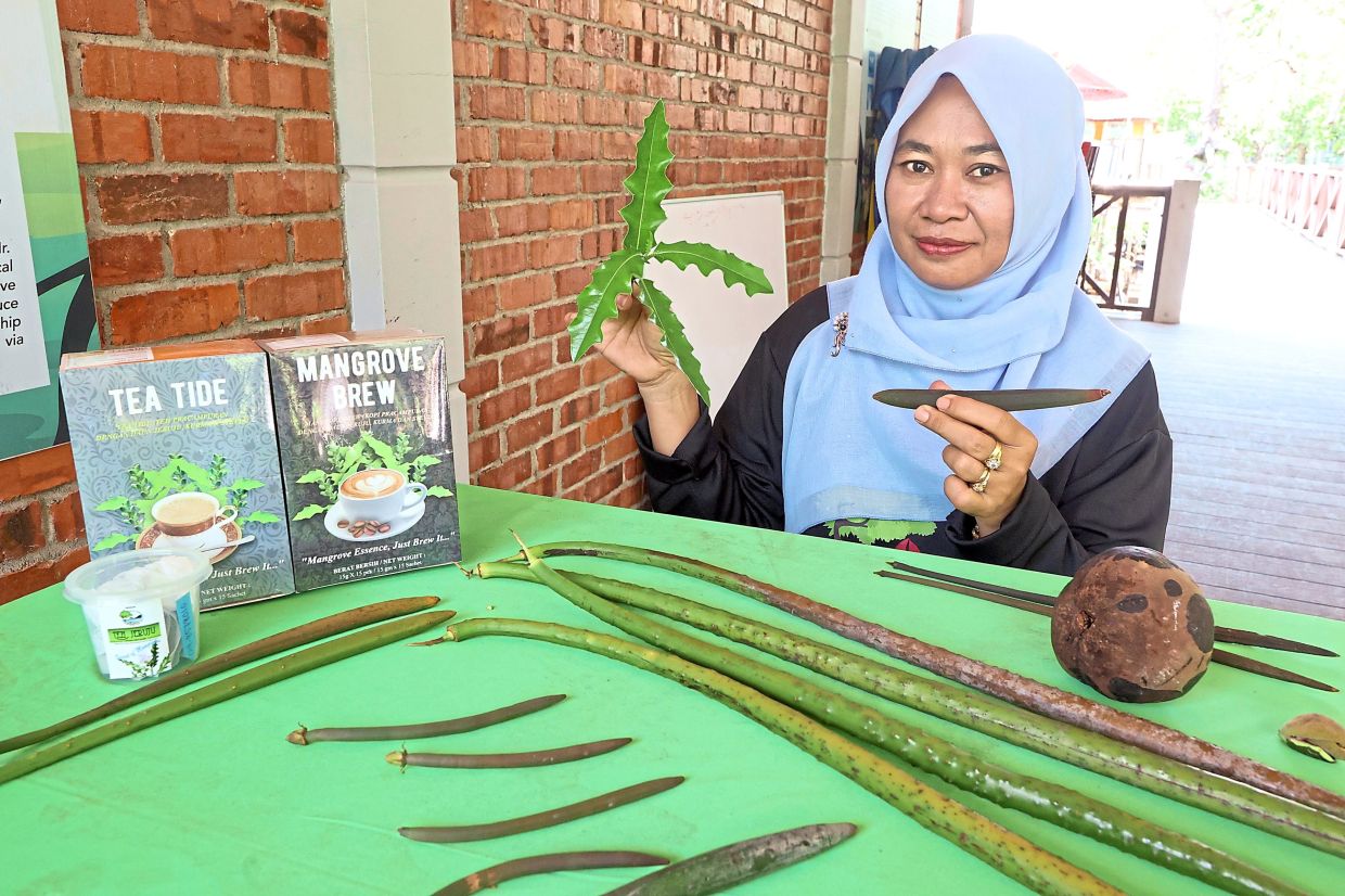 Rejuvenating island from the ground up