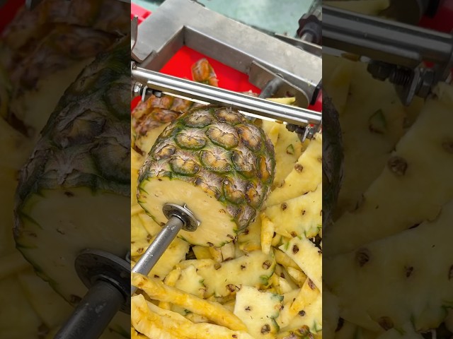 New Machine To Cut Pineapple Faster