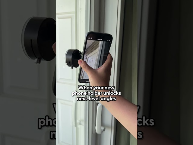 Testing Phone Holders for Filming Pet Content  | The Pack