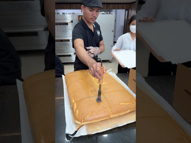 Huge Jiggly Cheese Cake Cutting