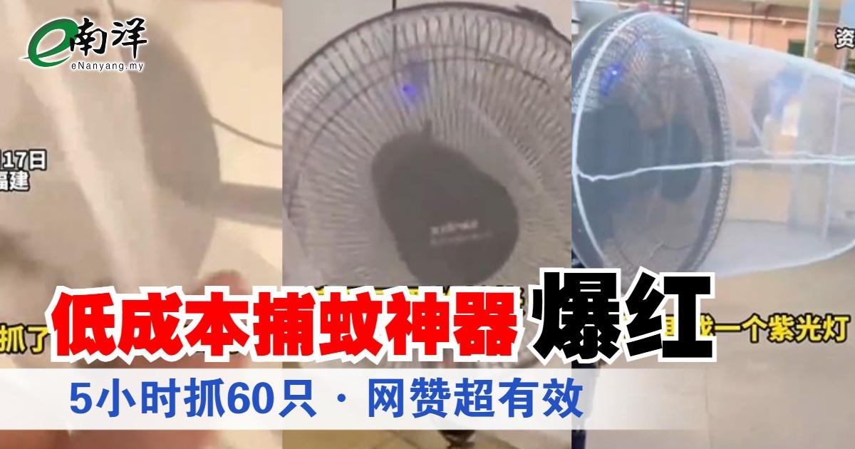 低成本捕蚊神器爆红 5小时抓60只·网赞超有效