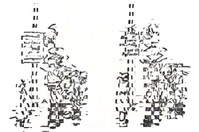 QuickCheck: Is Winnie-the-Pooh’s original name Edward Bear?