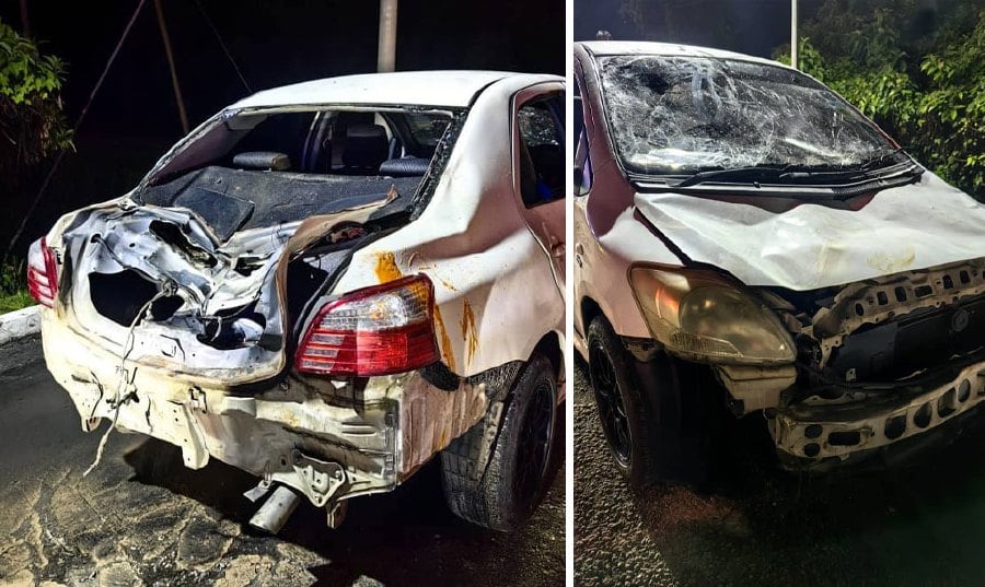 Horn blast probably triggered elephant attack on car along Gerik-Jeli highway [WATCH]