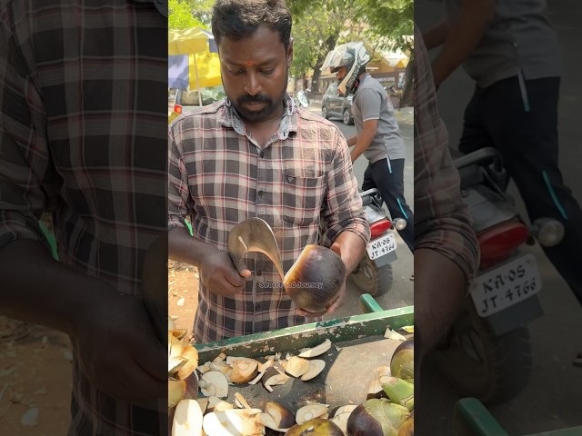Huge Sugar Palm Cutting In India - Fruit Cutting Skills
