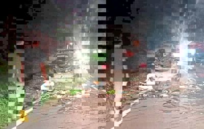 Man shaken, car wrecked after brush with elephants