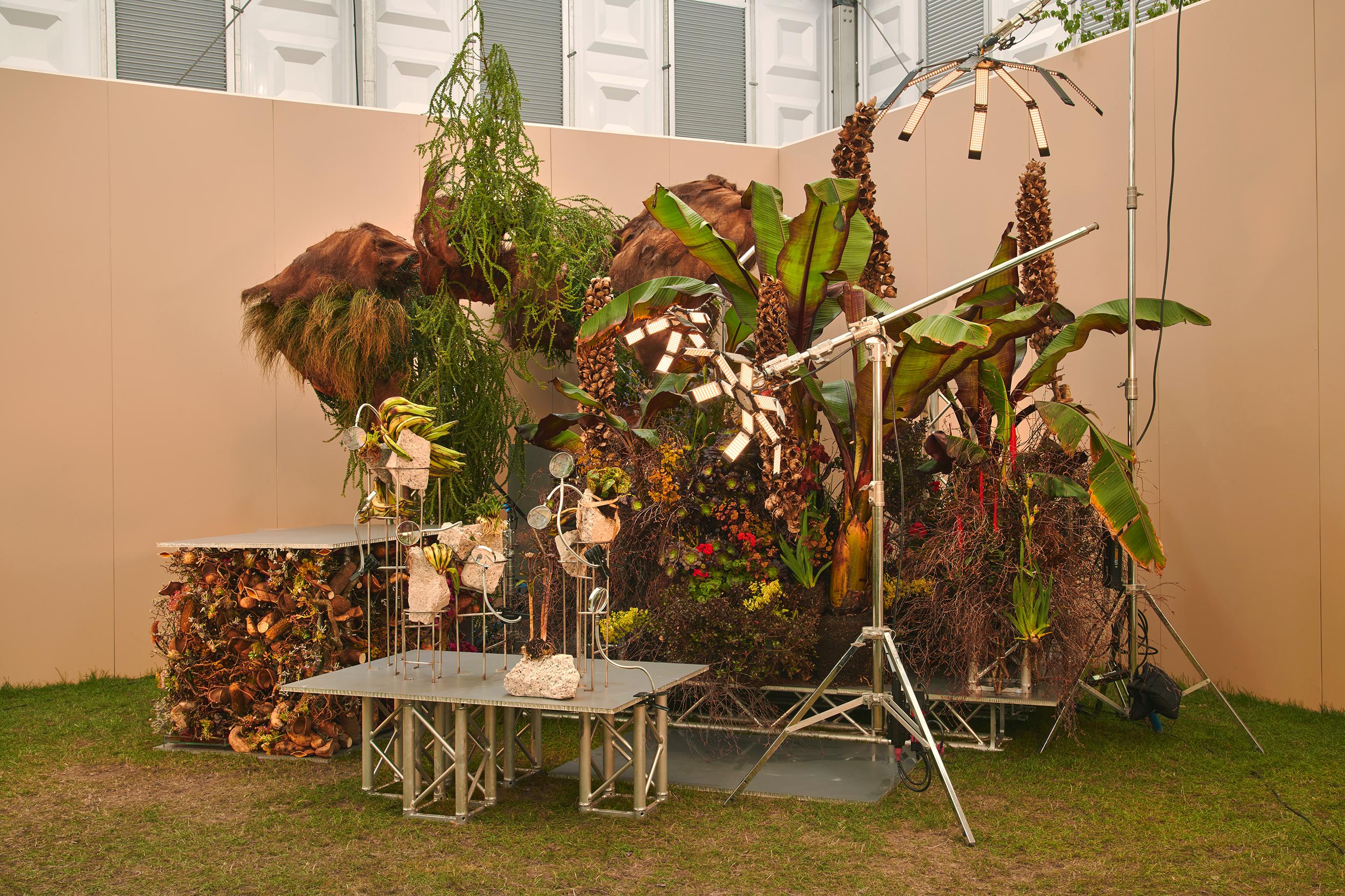 This Humid House notches a first at Chelsea Flower Show, Gardens by the Bay launches Lilytopia