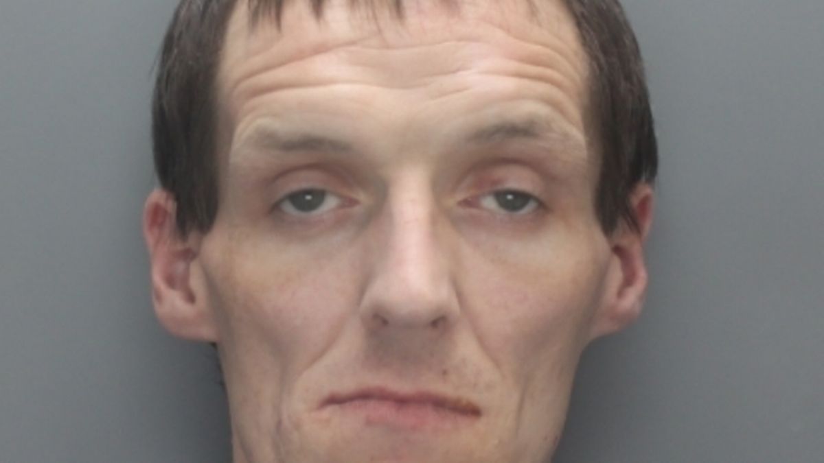 Man who found James Bulger's body died after night in police custody as cause revealed