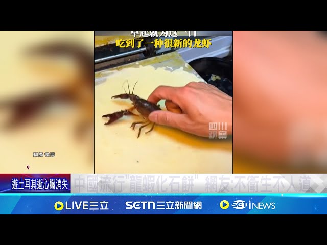 中国流行"龙虾化石饼" 网友:不卫生不人道 瑞士禁活煮龙虾 日拓烧仙贝用已宰杀章鱼 │记者 卢睿鋐│我食故我在20250524│三立新闻台