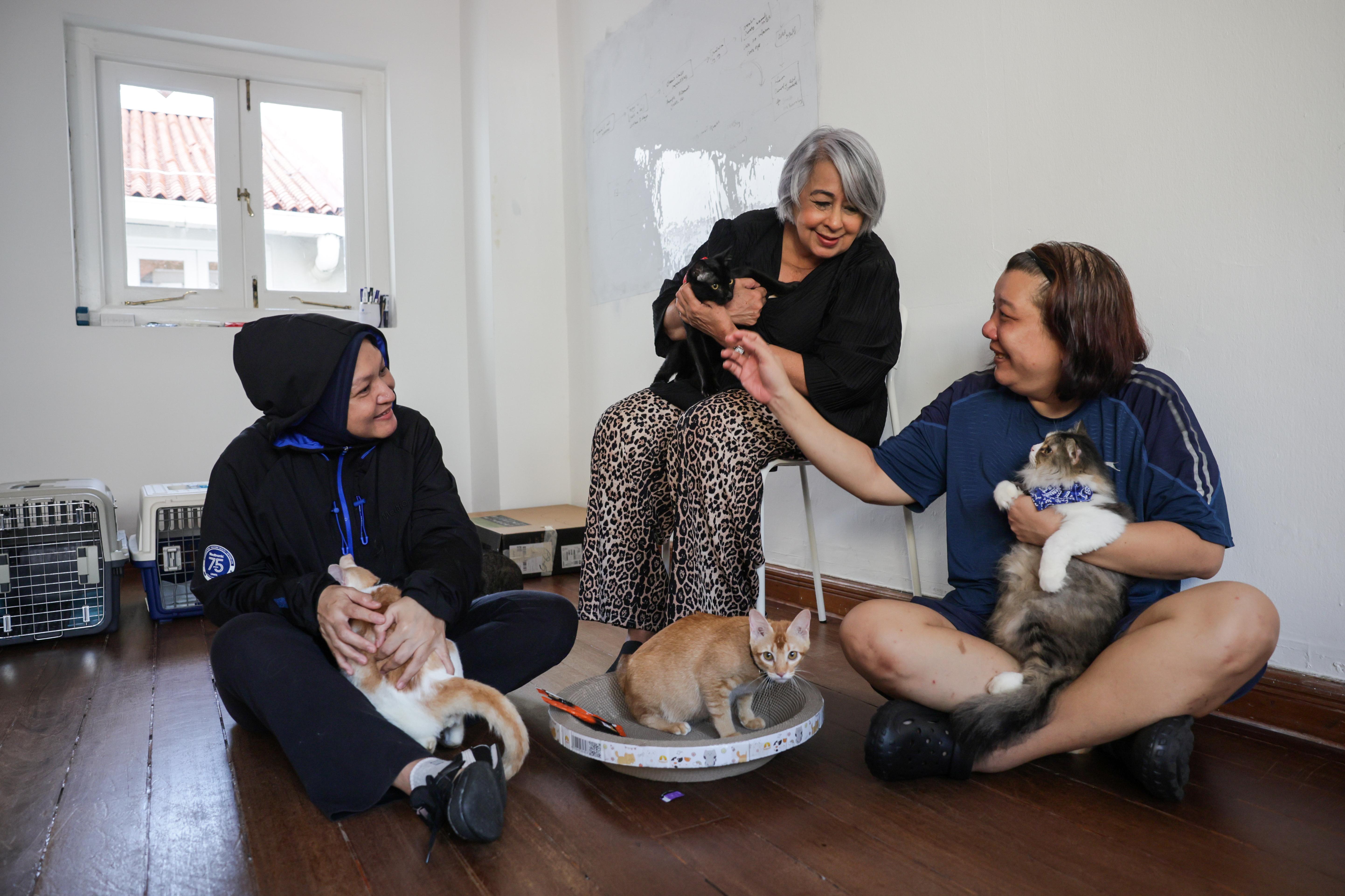 Over $36k raised in ground-up effort to help community cat feeders in Singapore
