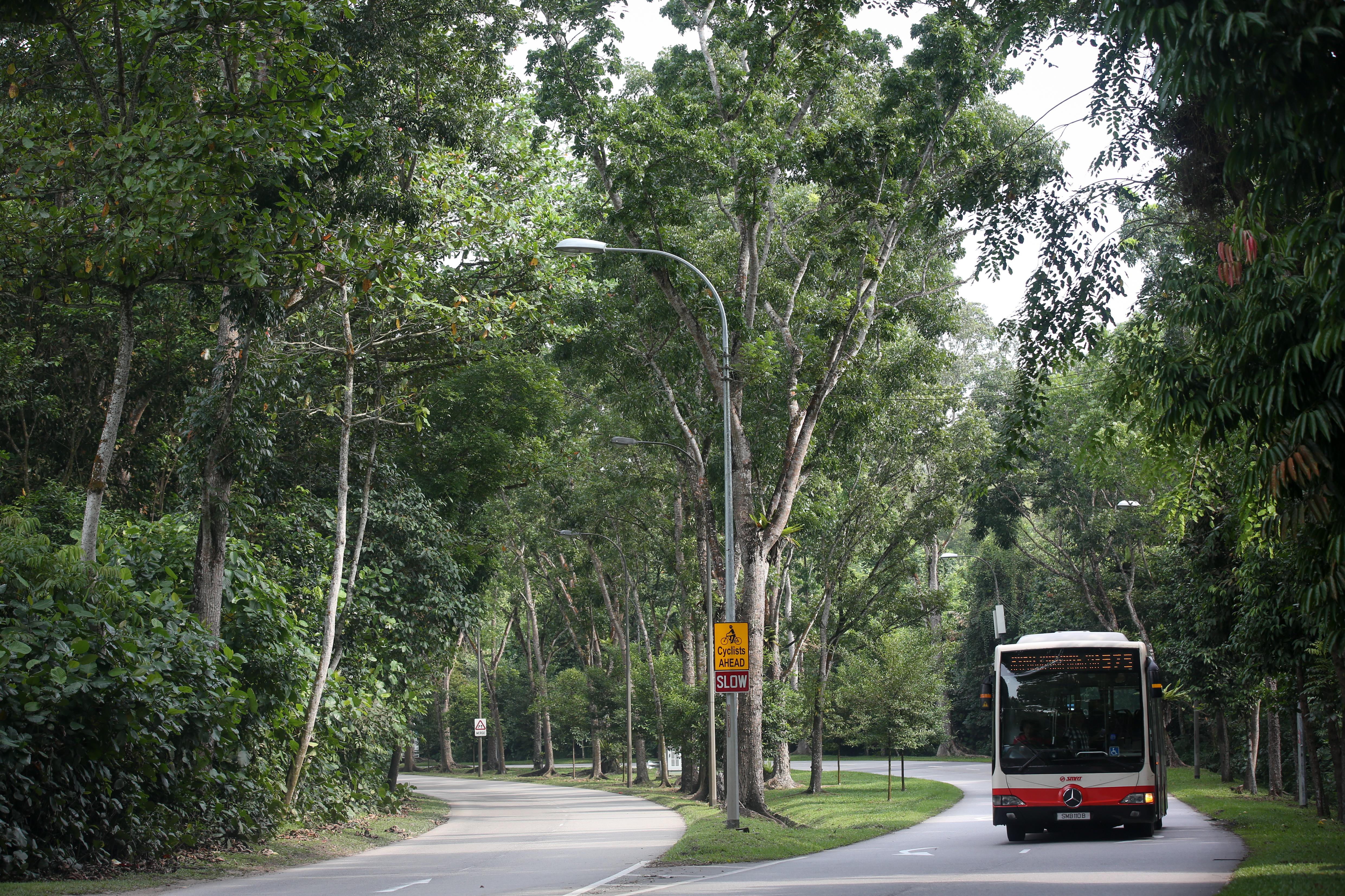 Realigned Lim Chu Kang Road to open from June 8; existing stretch to be closed