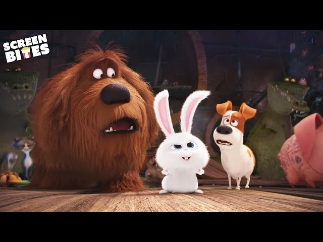 The Secret Underground Lair For Abandoned Pets | The Secret Life Of Pets (2016) | Screen Bites