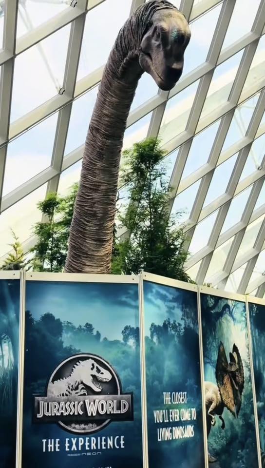 🦕恐龙来了！滨海湾花园《侏罗纪世界：实景互动体验》现场图抢先看💥13个沉浸式区域玩疯了🦖