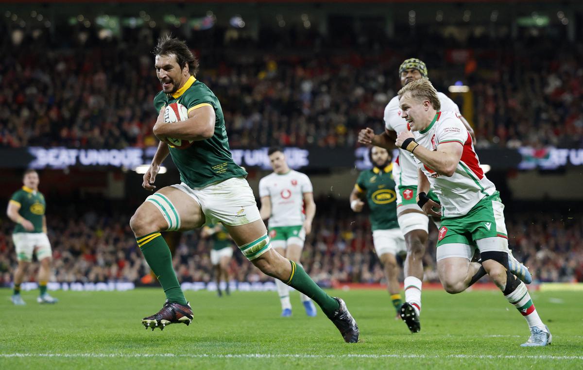 Etzebeth back after concussion concerns in boost for Sharks, Springboks