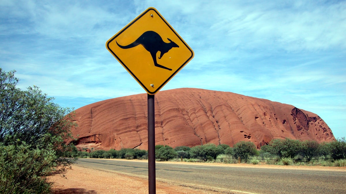 The viral emotional support kangaroo is an AI creation