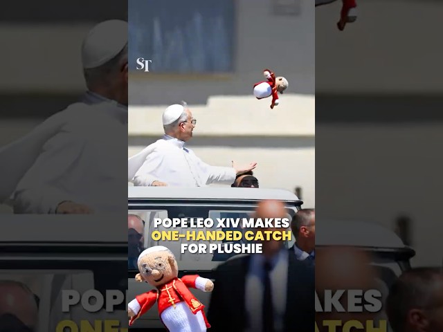 Pope Leo XIV makes one-handed catch for plushie