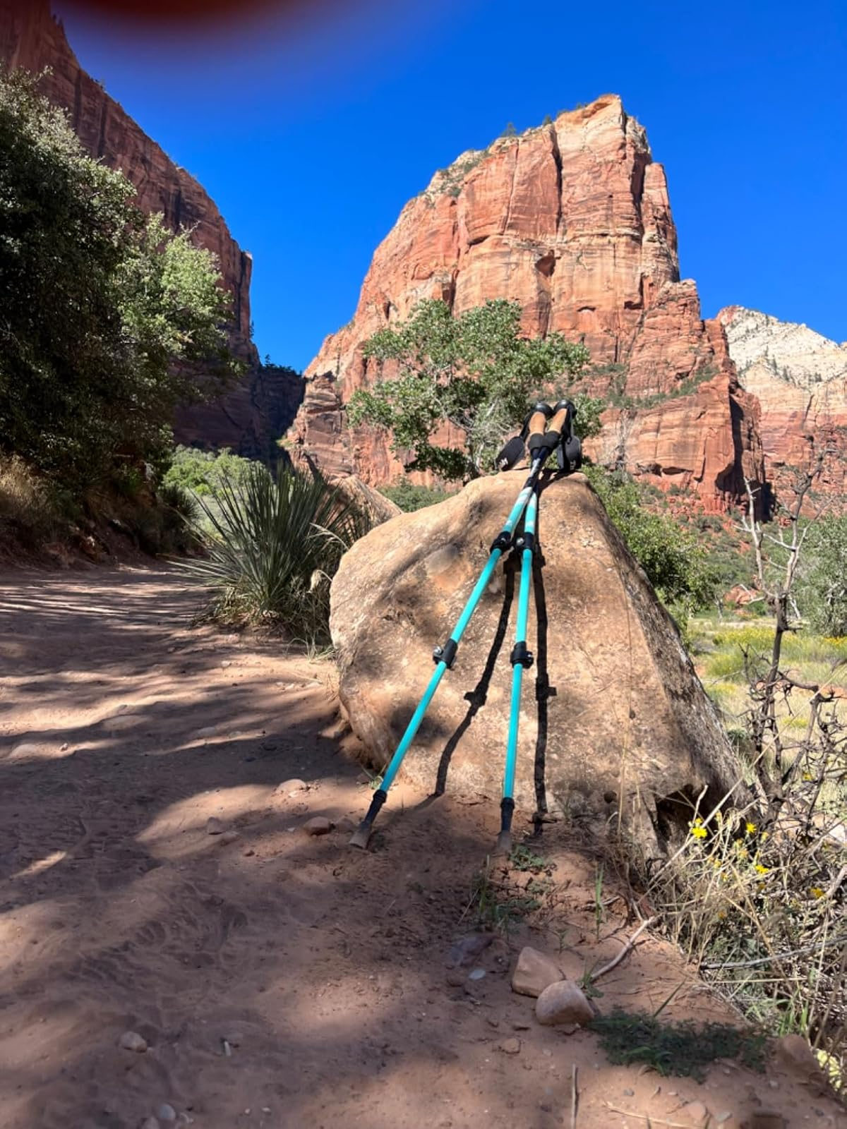 If You Love Nature But It Doesn’t Love You Back, Check Out These 42 Products