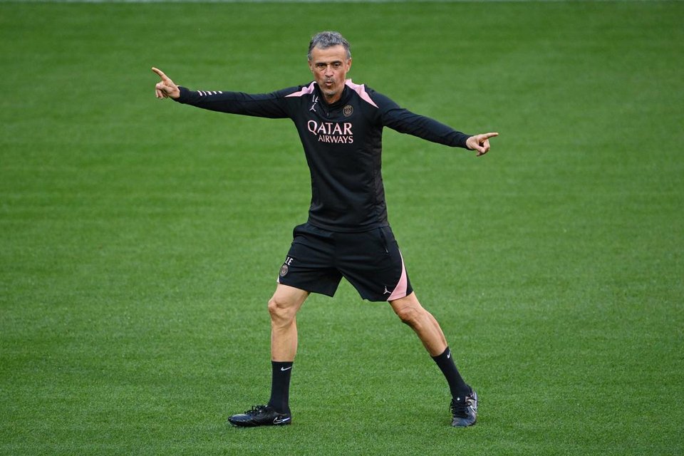 Experience and struggle have prepared PSG for Champions League glory, says Luis Enrique