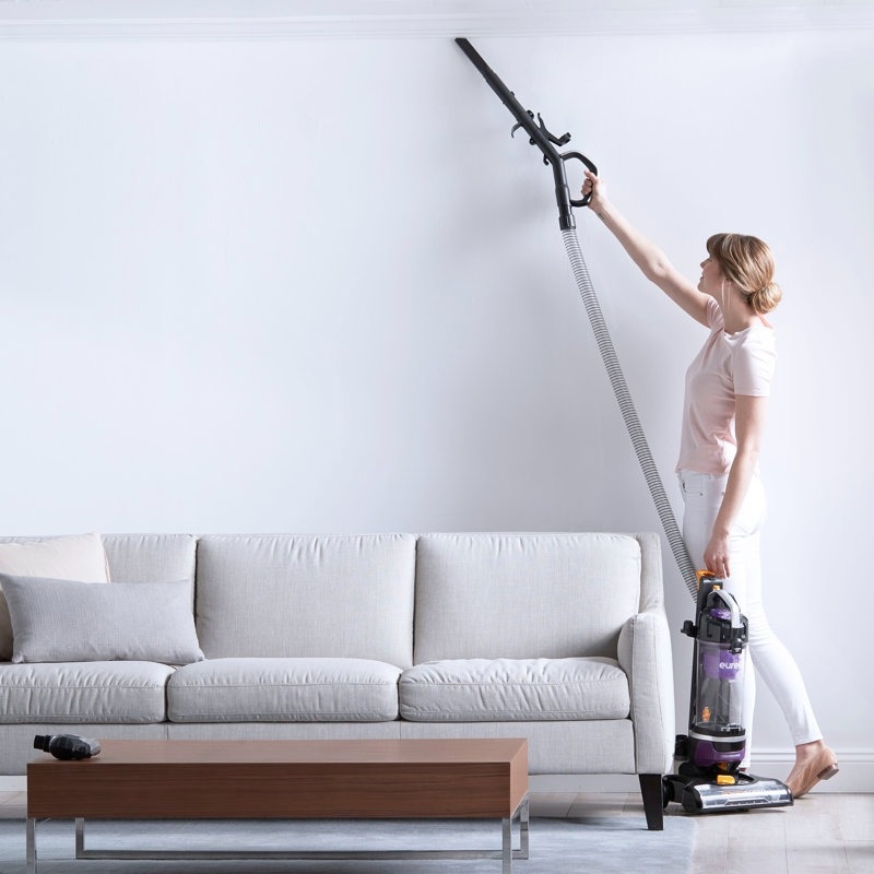 30 Affordable Wayfair Products For Anyone Who Just Moved Out On Their Own