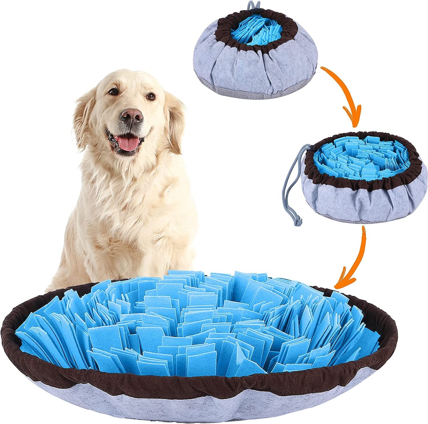 Vets Say These Products Might Help Your Anxious Dog