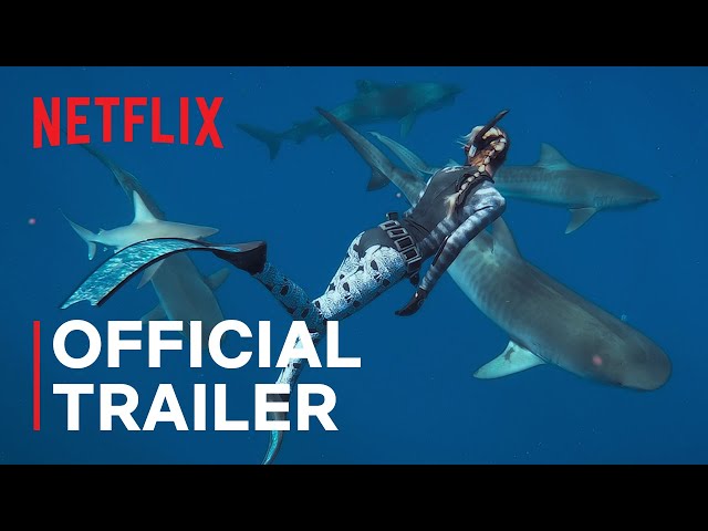Shark Whisperer | Official Trailer | Netflix