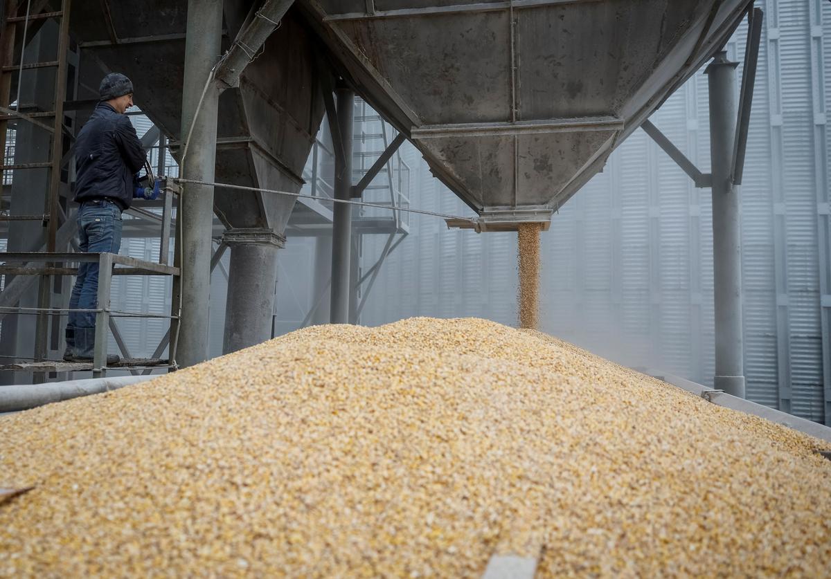 Ukraine’s 2025 grain harvest may fall 10%, minister says