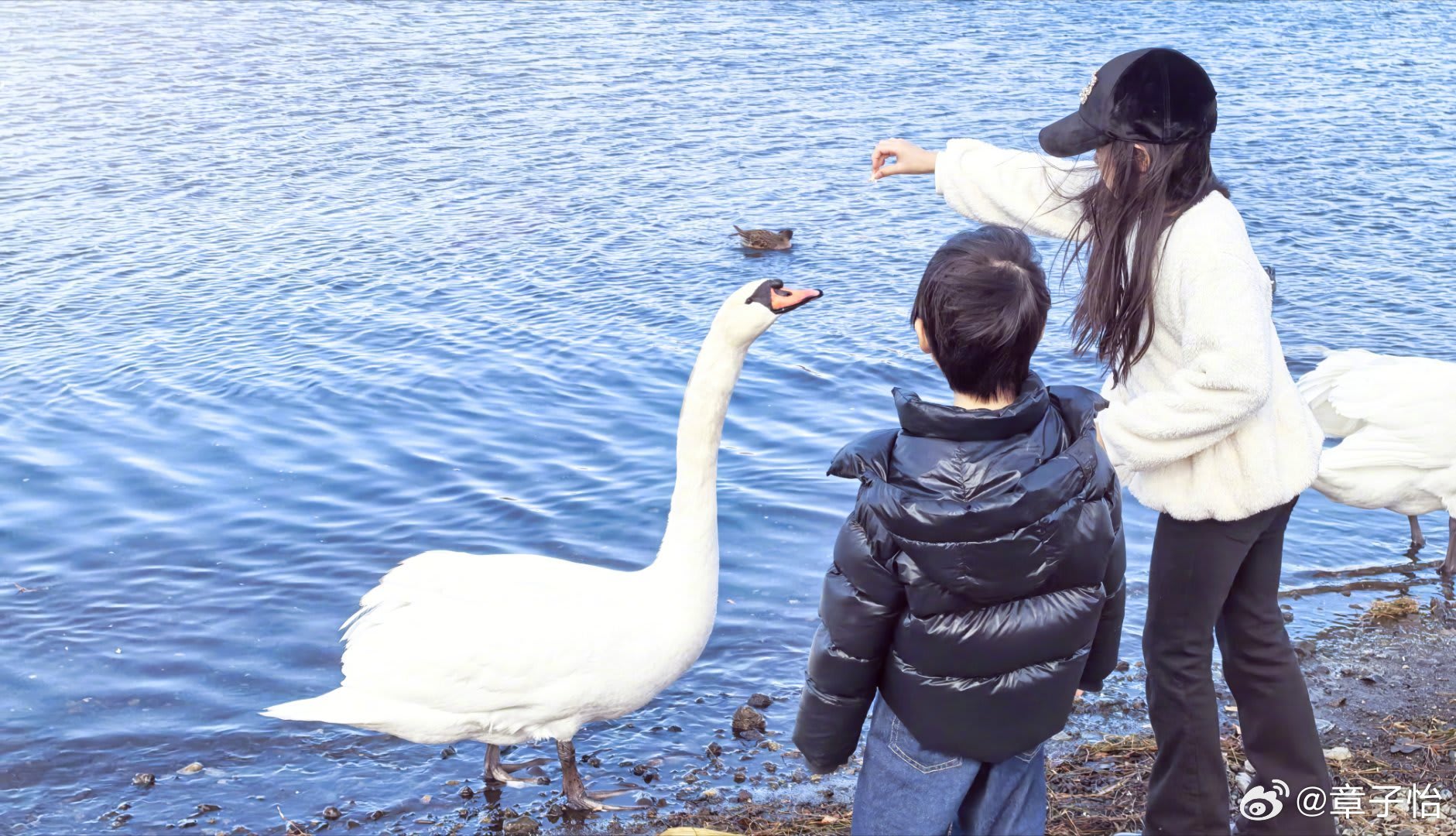 Zhang Ziyi Shares Rare Pics Of 9-Yr-Old Daughter, Whom Netizens Say Resemble Ex Husband Wang Feng