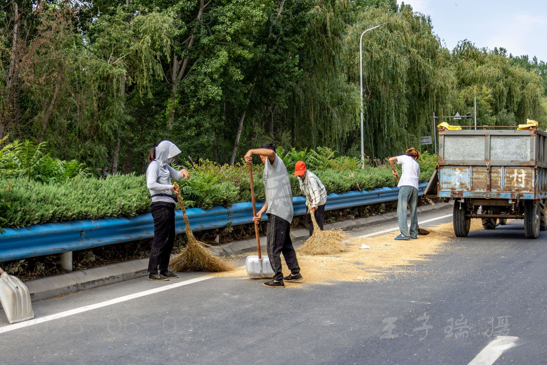 小麦丰收，道路晒粮：往年禁止，今年有序开放丨河南滑县