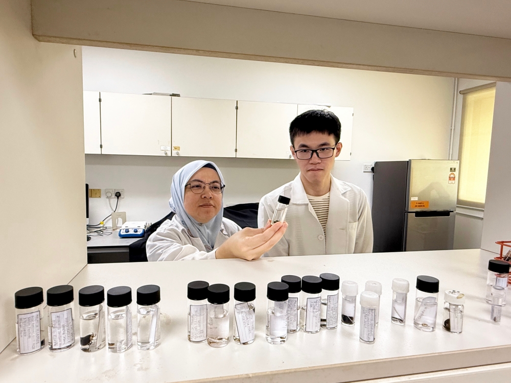 Rare Gombak firefly not seen in Malaysia for over 100 years rediscovered in Bukit Kiara by student, prompts new questions about species survival