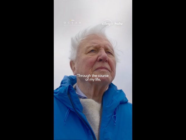 David Attenborough on the importance of our oceans