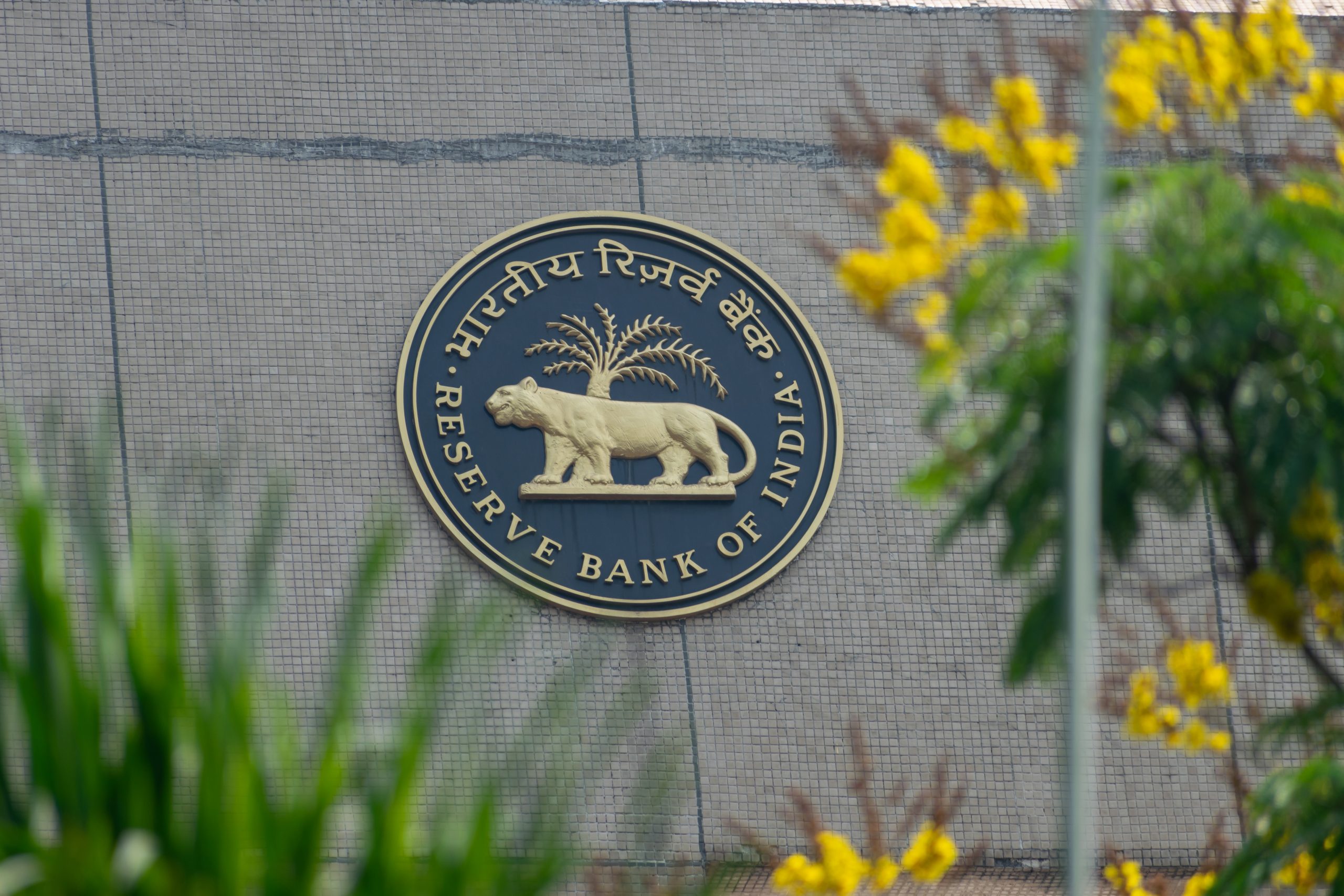 India’s RBI rate cut may boost IPO, bond market activity