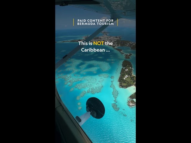 Paid content for @bermuda