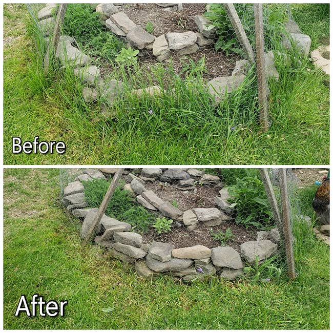 26 Products That Helped Reviewers Transform Their Gardening Skills (and We Have The Pics To Prove It)