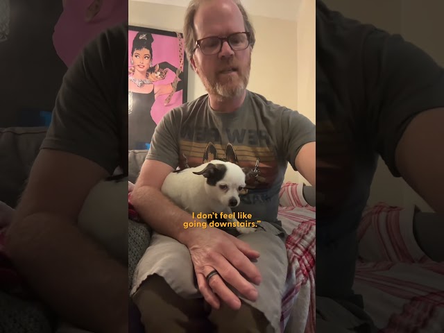 Dad Treats The Senior Chihuahua He Didn't Even Want Like Royalty | The Dodo
