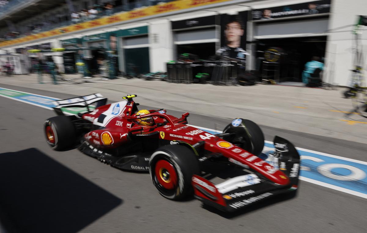 Hamilton lost performance after hitting groundhog