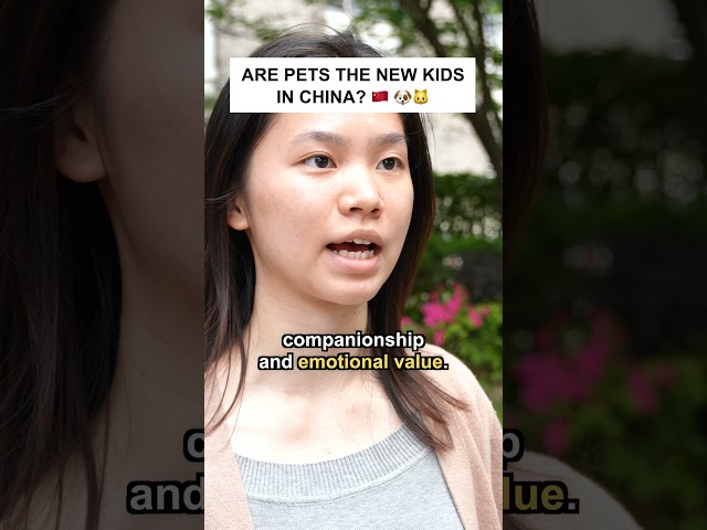 Are Pets the New Kids in China? #shorts
